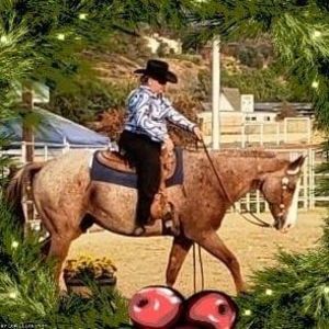 Meet your Posher, Penny